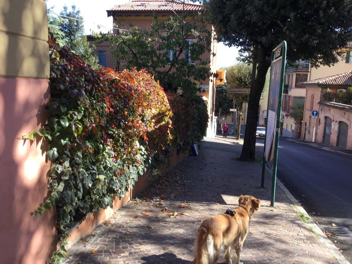 B&B La Castagnina Bologna Buitenkant foto